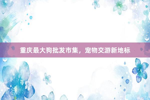 重庆最大狗批发市集,宠物交游新地标