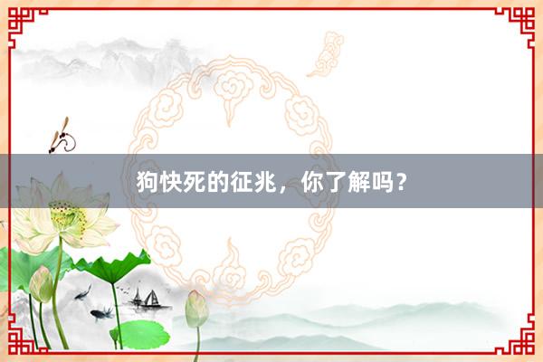 狗快死的征兆，你了解吗？