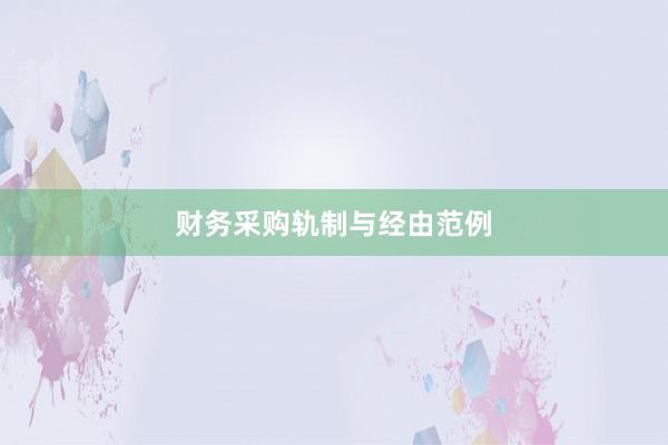 财务采购轨制与经由范例